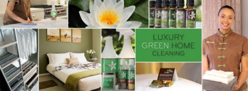 NYC Eco-Friendly Power Clean Service With Organic Cleaning Products Launched