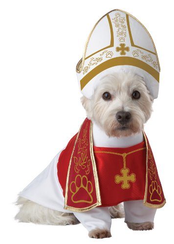 Funny Dog Costumes Available For Every Holiday And Occasion