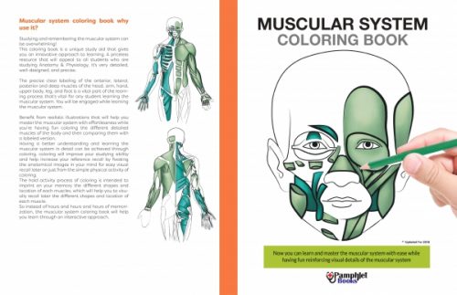 Muscular System Coloring Book: Learn The Human Body In A Fun Interactive Way