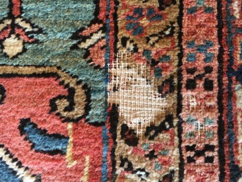 New Eco-Friendly Service Helps with No-Moth Oriental Rugs and Carpet-Safe