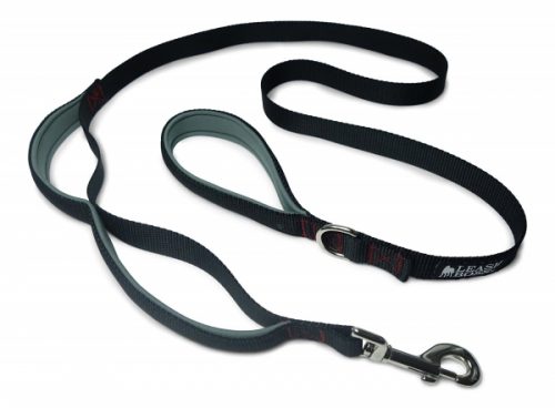 Padded Dog Leash Two Handle Double Grip Dog Training Equipment Launched