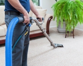 Ottawa Carpet Cleaning Company Article Says Carpet Service Removes Allergens