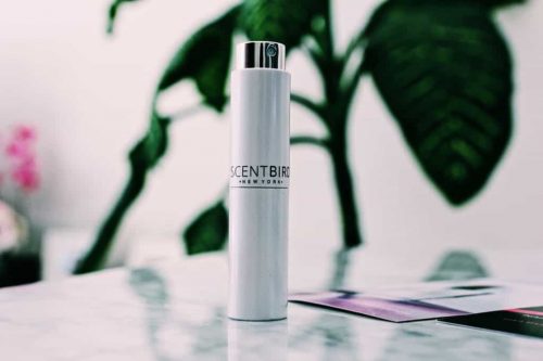 ReviewingThis Publish New Review Of ScentBird Monthly Perfume Subscription Service