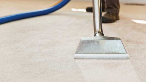 Jacksonville Carpet Cleaning Company Announces Chemical Free Cleaning Process