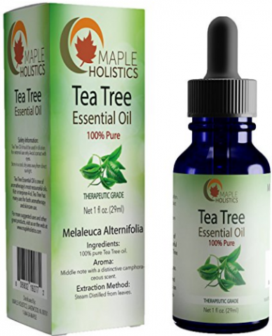 Maple Holistics Releases Pure Tea Tree Essential Oil Featuring New Bottle