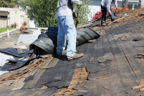 Best Roof Guy Promotes New Green Roof Strategies for Home owners in Los Angeles