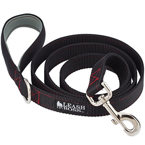 Heavy Duty Dog Leash & Reliable Leads For Dobermans Strong Pets Report Launched