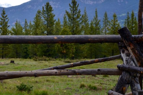 Montana Ranches for Sale Real Estate Report Released by Bozeman MT Land Broker