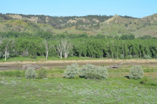 Montana Land for Sale Values Report Released for MT Acreage, Farm & Hunting Land