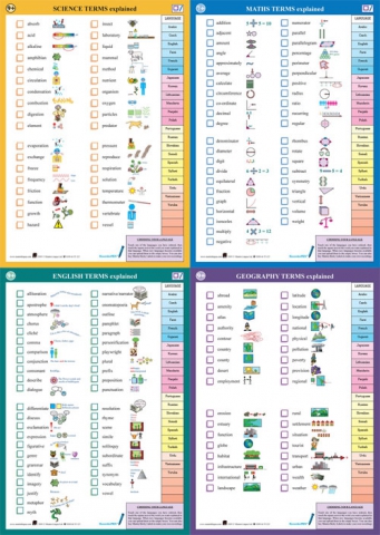 Multilingual STEM EFL ELL Chart Interactive English Resources Launched