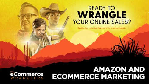 eCommerce Wranglers Releases New Promotional Video