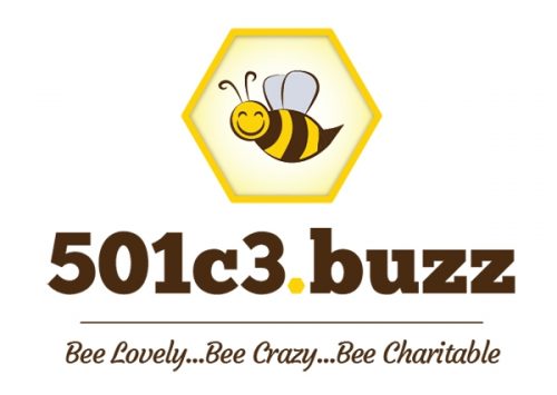 NANOE Blog Charity Reports Ideas & Events Informative Website Launch 501c3.Buzz