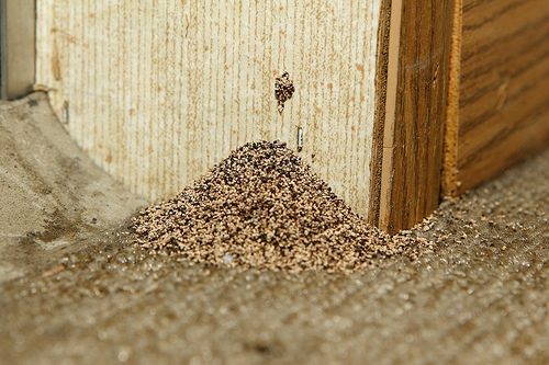 South Pasadena Pest Control Inspection Find Breakin Structure Caused By Termite