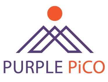 Purple Pico Now At The Forefront Of Glasgow Reputation Management Services