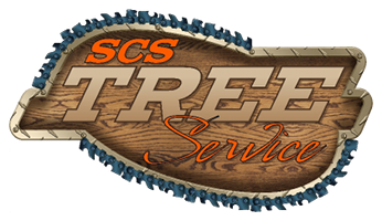 Top SCS Tree Removal Saves Homeowners Thousands In North Metro Atlanta