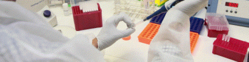 Biobank Market 2017 Insights by Manufacturers, Regions, Types And Applications