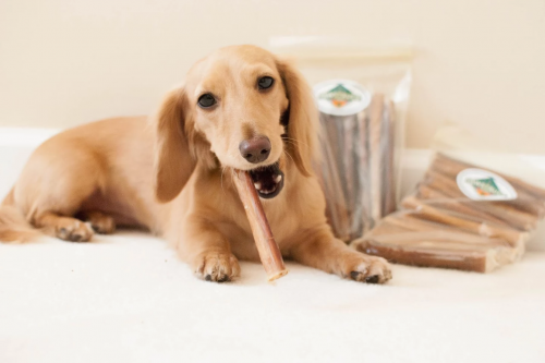 Pawstruck Officially Introduces New Variety of Natural Single-Ingredient Treats for Pet Owners