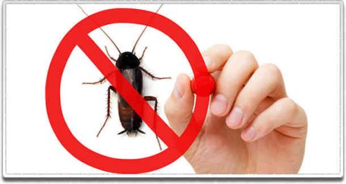 Home Termite and Cockroach Inspections now available in Castle Hill