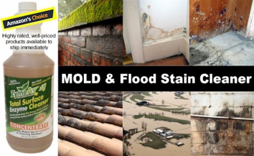 Enzyme Mold Mildew Flood Stain Cleaner Amazon’s Choice Status Announced