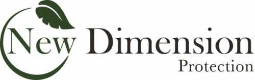 Boston MA Carpet Cleaning and Upholstery Cleaner Celebrates 25th Anniversary