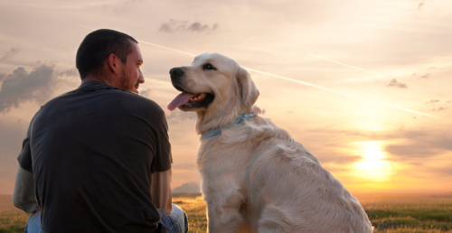 San Diego, CA Based Drug Recovery Center Now Accepts Pets