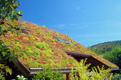 Green Roofs Help Save Energy & Raise Home Value