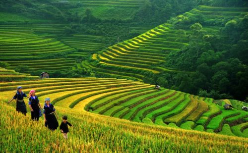 6 Greatest Trekking Destinations For US Travelers In Vietnam According To Greenvisa