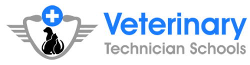 veterinary-technician-schools-releases-list-of-the-top-25-vet-tech