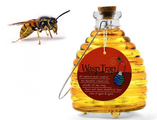 Toland Home Garden Launches Large Wasp Trap on Amazon « MarketersMEDIA