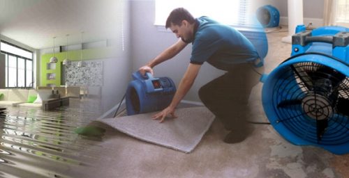 Jupiter FL Water Damage, Mold, Restoration Services Expands