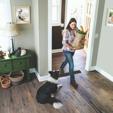 Invisible Fence by Peachtree Introduce Innovative Indoor Solutio ... Invisible Fence by Peachtree Introduce Innovative Indoor Solutio ...