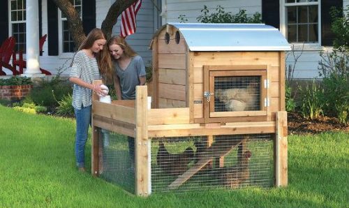 trixie outdoor run rabbit hutch