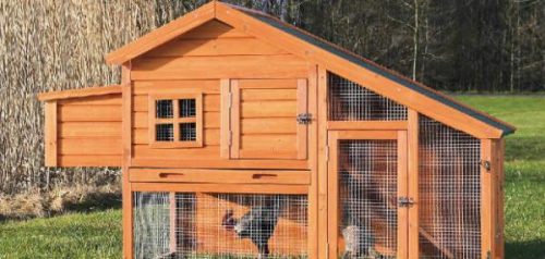 trixie small animal hutch with outdoor run