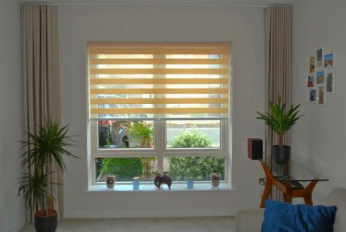 easy to clean blinds dublin day night blinds for privacy light control easy clean wandtvcom newscenter17 stormcenter17 central illinois news easy to clean blinds dublin day night blinds for privacy light control easy clean wandtvcom newscenter17 stormcenter17 central illinois news