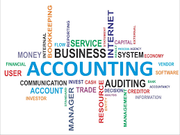 tally accounting software in usa