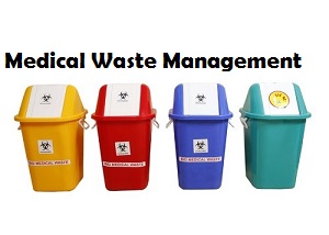 Global Medical Waste Management Market 2019 by Type of Waste, Service ...