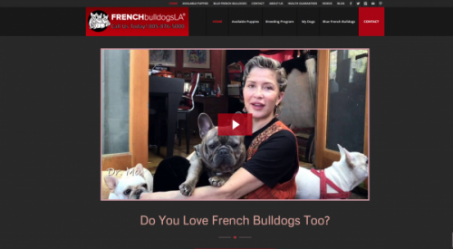 frenchbulldogsla