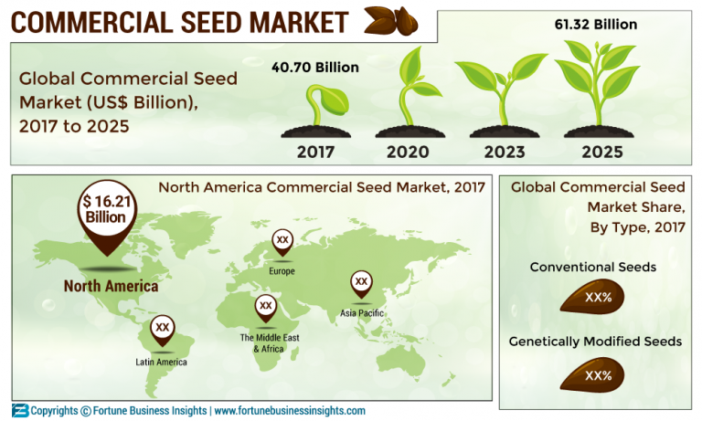 Commercial Seed Market 2019 by Size Estimation, Share, Business ...