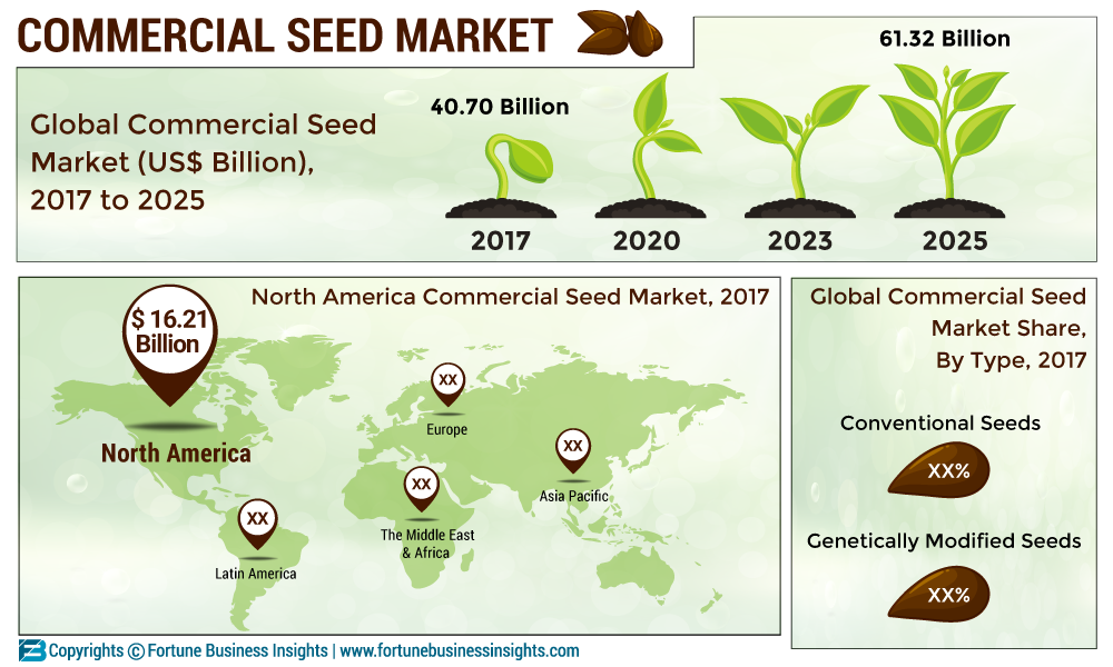 Commercial Seed Market 2019 by Size Estimation, Share, Business