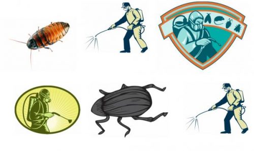 Sierra Vista Az Pest Control Cost Info Online Contractor Guide Services Launched