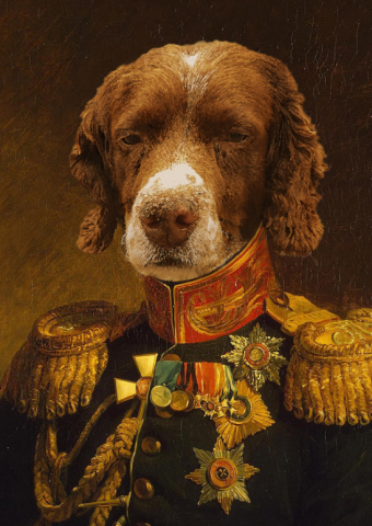 Dogs, Cats, And Other Pets This Artist Creates The Most Regal