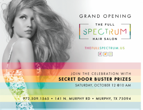 Murphy Texas Full Spectrum Hair Salon Day Spa Stylist New