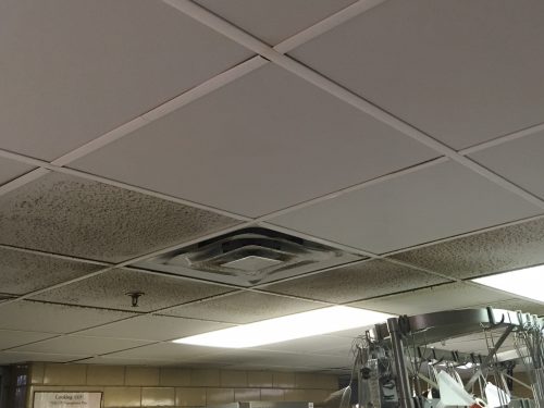 Ce Kitchen Cleaning Launches Commercial Kitchen Ceiling Cleaning