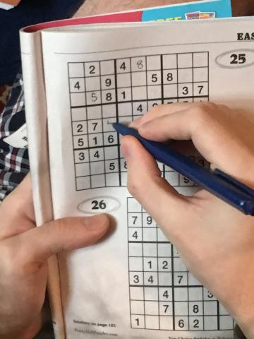 Sudoku Essentials Lessons Teach Fundamentals of Solving More
