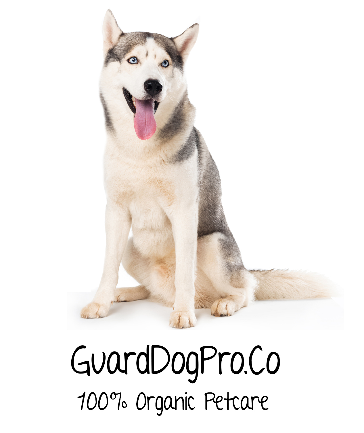 ‘Guard Dog’ Mauls It’s Competition