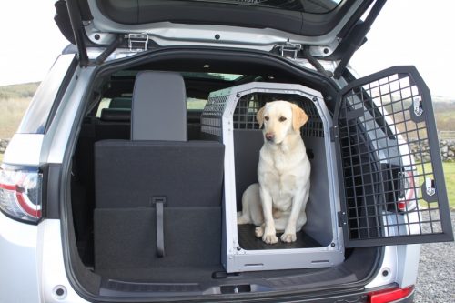 dog crate car