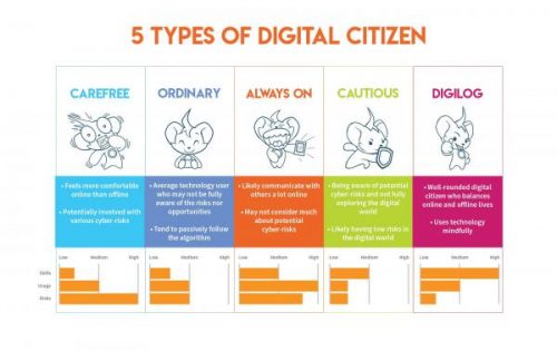 Digital Citizenship Test: Cyber-Risk and Digital Skills