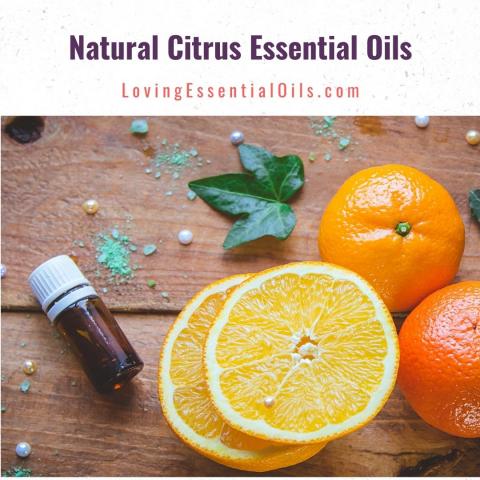 Citrus Essential Oils Guide