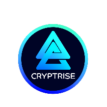 Cryptrise emerges as a reward token with a 13 percent BUSD reflection for invaluable investors