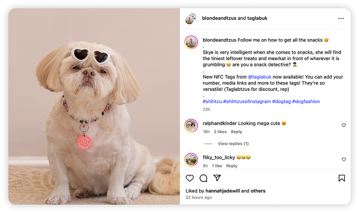Shih Tzu dog named Skye wearing heart-shaped sunglasses promoting NFC pet tags on Instagram.
